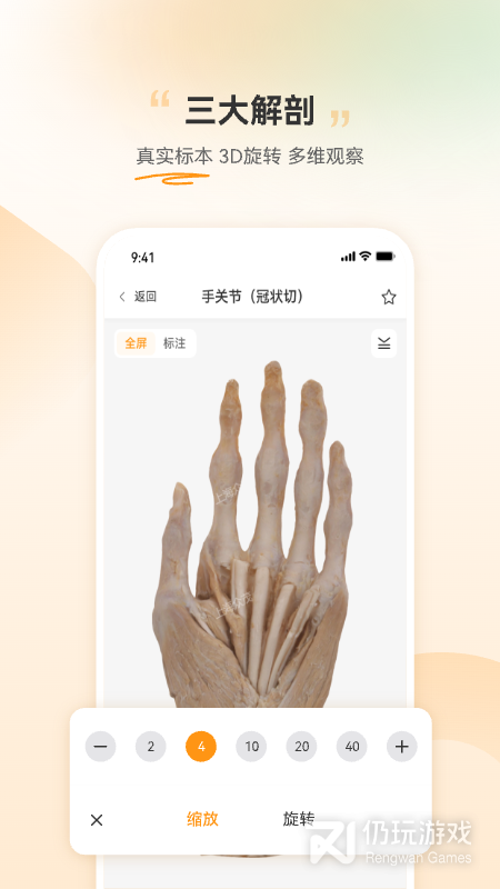 芝士医生