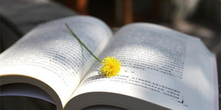 2021年热搜必读小说软件合集