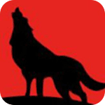 夜未央直播免费版