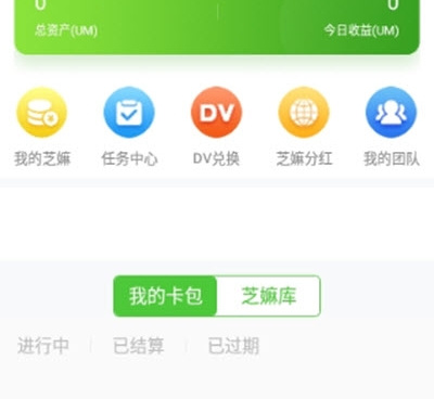 芝麻视频历史版本手机软件合集