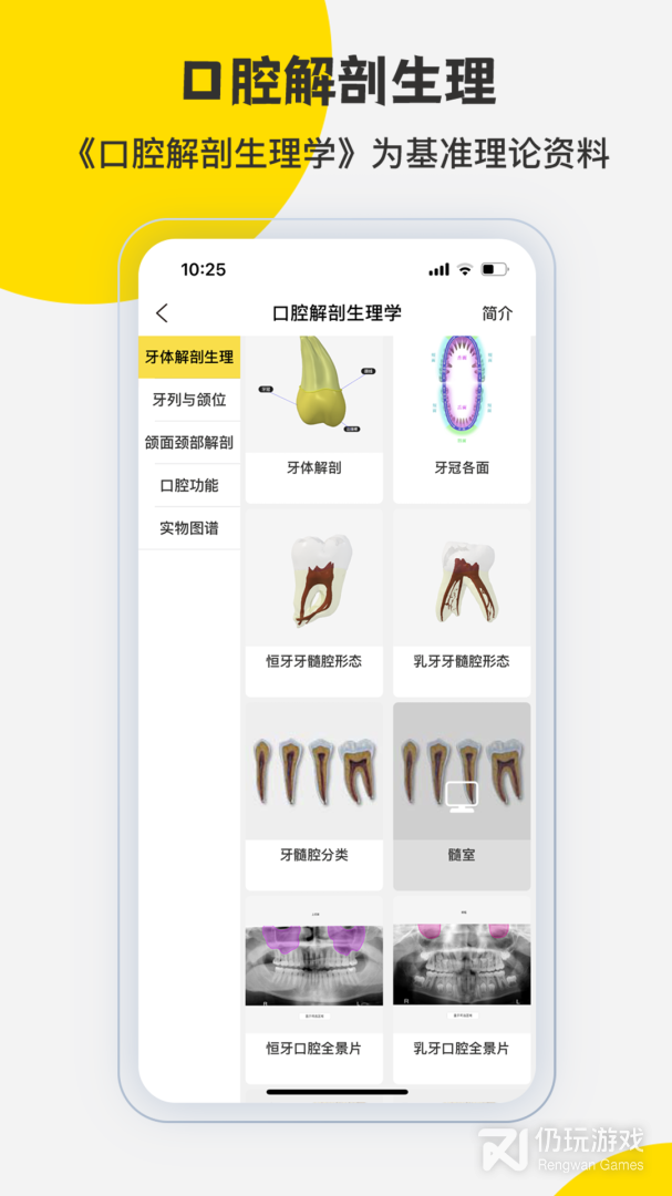 3DBody解剖