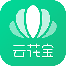 云花宝