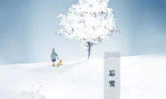 忘雪第二关雪兔通关流程介绍