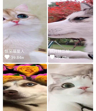 像乐刷刷短视频这样的手机软件合集