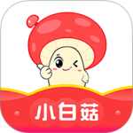 小白菇2024版