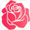 玫瑰直播午夜版