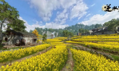 逆水寒手游龙吟打造要什么属性