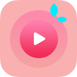 荔枝影视轻量版