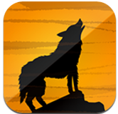 夜狼直播福利版