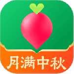 叮咚买菜