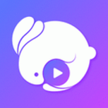 月夜直播纯净版