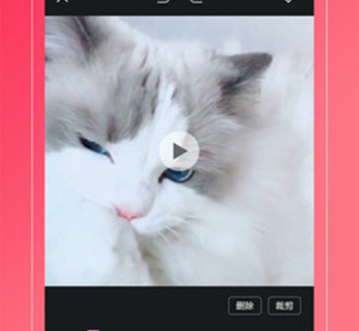 像小蝌蚪视频这样的手机软件合集