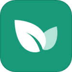 青藤之恋绿色版