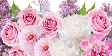 品质鲜花在线购买手机软件合集