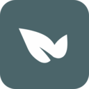 青藤之恋历史版