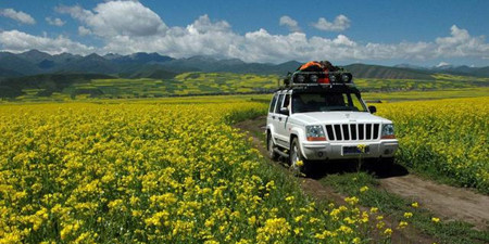 自驾游手机软件合集