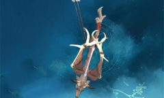 《仙剑奇侠传7》武器绝矢裂影空图鉴一览