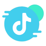 抖取（抖音视频提取工具）