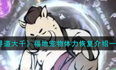 寻道大千福地宠物体力恢复说明