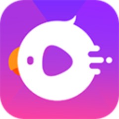 酷音短视频免费版