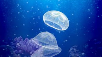 时下耐玩的治愈画风手游排行榜