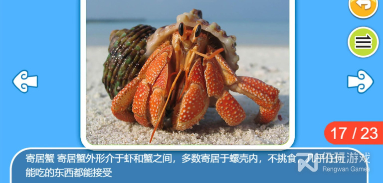 开发智力的手机软件合集