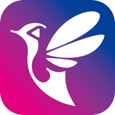 飞树直播无限制版