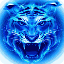 四虎影院最新地址版