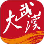 大武汉2024版