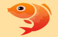 锦鲤直播高清版