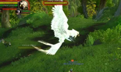 魔兽乌龟服白头老鹰位置