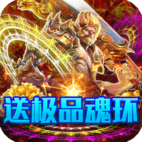 武器之王折扣版