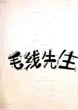 毛线先生