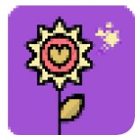 星花秀直播升级版