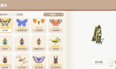 心动小镇昆虫捕捉位置在哪里