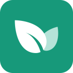 青藤之恋清爽版