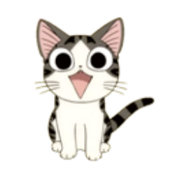 野猫影院私人版