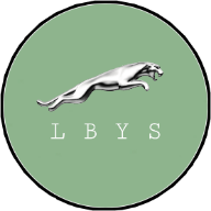 猎豹影视海外版