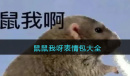 鼠鼠我呀表情包汇总