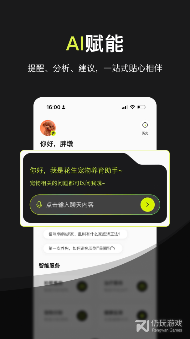 花生宠物