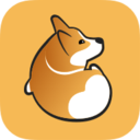 corgi自动匹配版