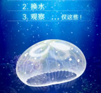 福利超多的休闲治愈手游合集