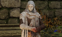 《艾尔登法环》数据挖掘 发现类似入侵誓约