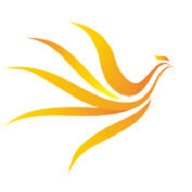 绿箭影视福利版