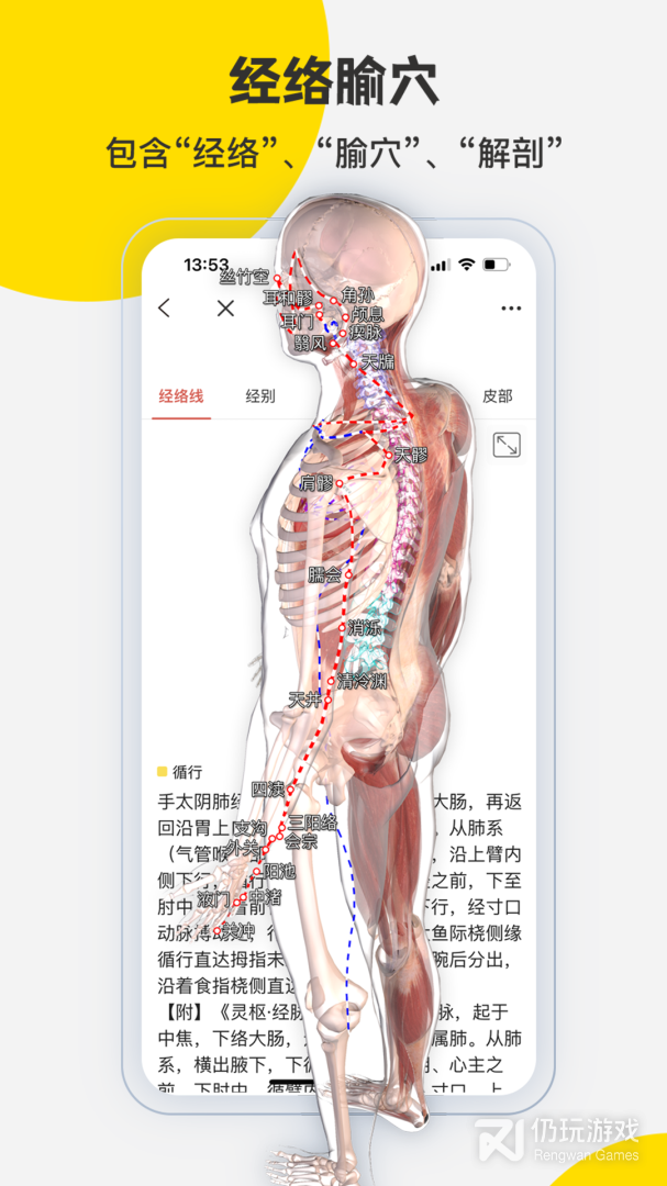 3DBody解剖