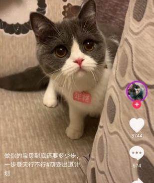 和爱抖短视频差不多的手机软件合集