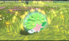 《宝可梦：明亮珍珠晶灿钻石》钻石台座XL介绍