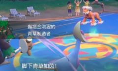 宝可梦朱紫群体回血方法