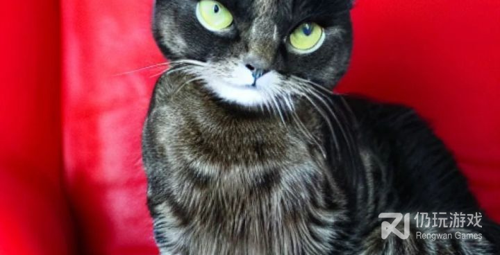 手机绘图纸手机软件合集