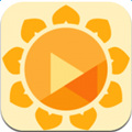 向日葵远程控制正式版